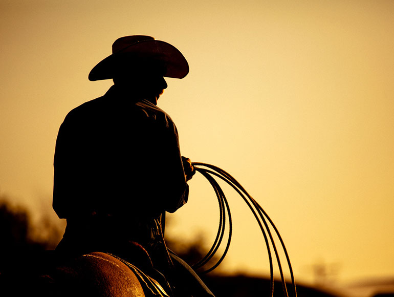 Annual Events & Festivals