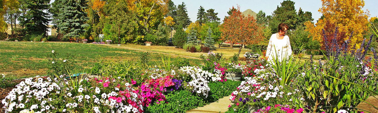 heart of Western Edge, Dickinson has many local attractions for fall ages