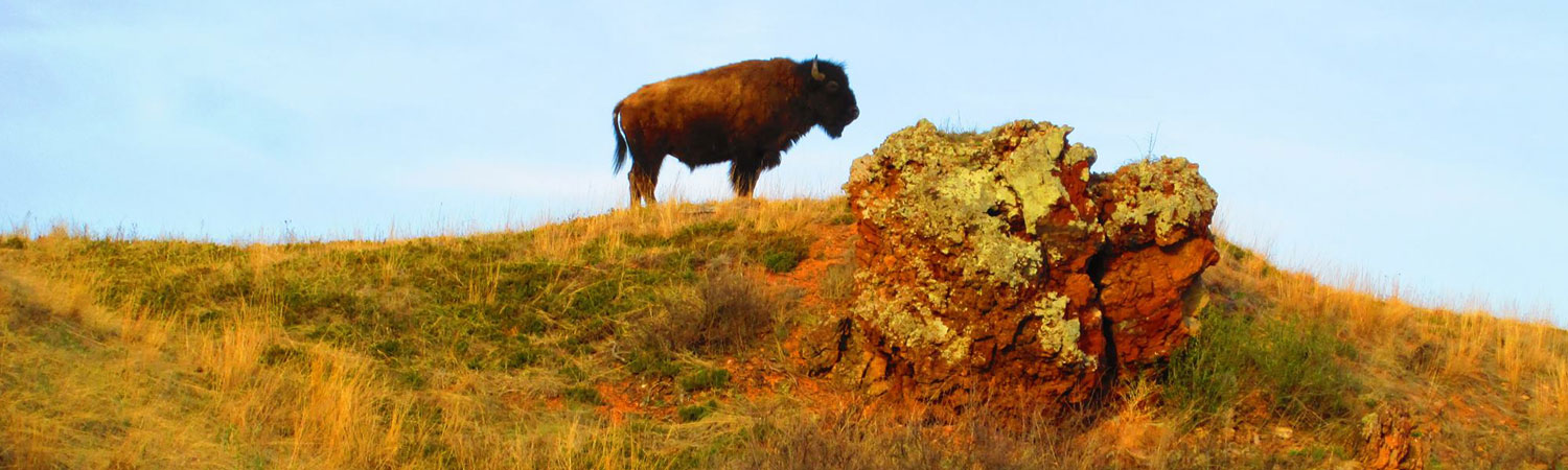 Dickinson, ND has numerous indoor activites as well as outdoor hikes, golf or lake