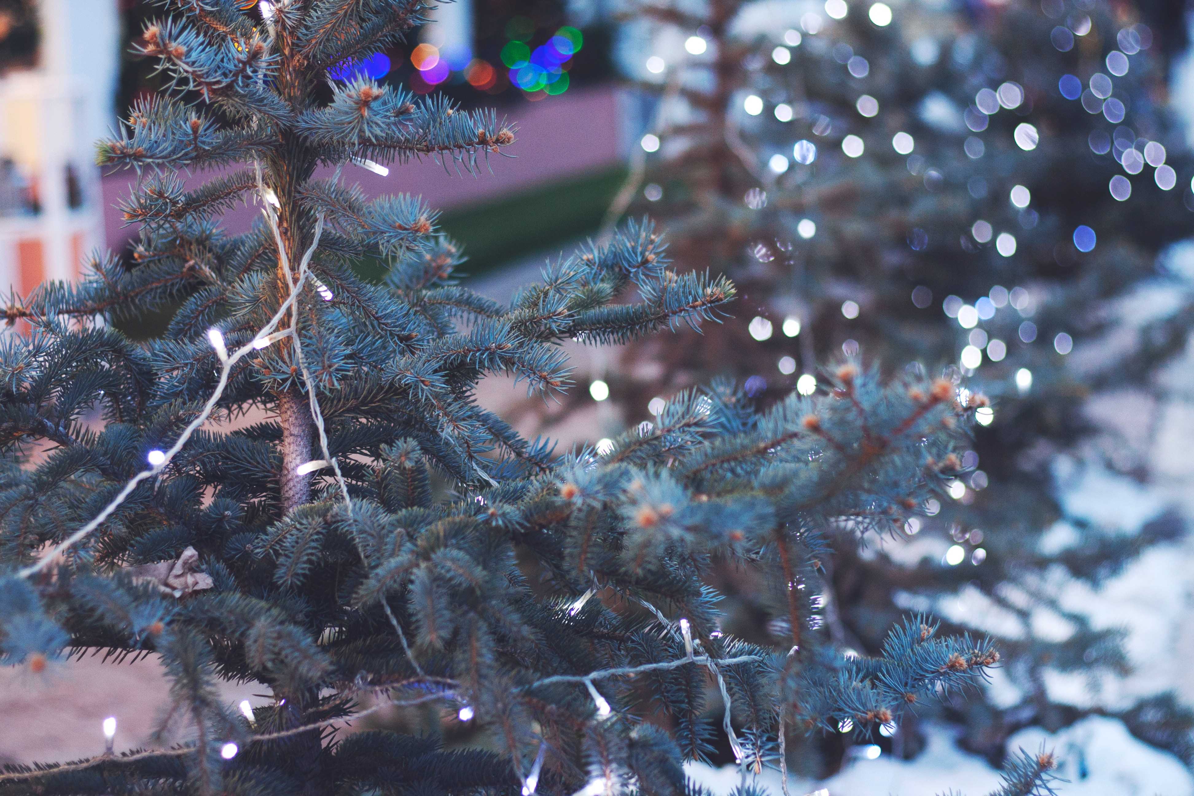 Christmas String Lights