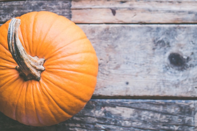 fall pumpkin